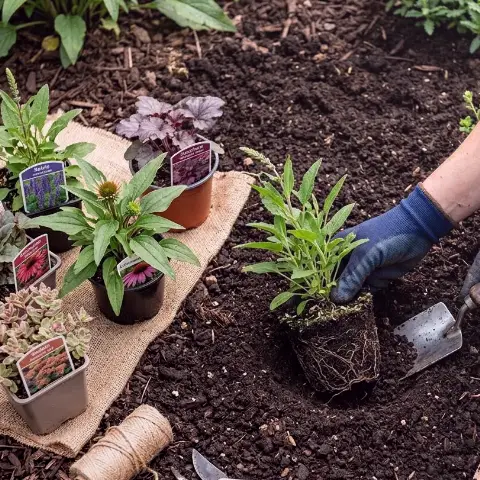 Klee Habicht – Individuelle Gartenplanung